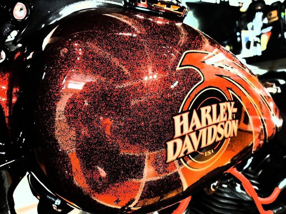 Harley-Davidson 1690 Street Bob Special (2015 - 16) - FXDB (17)