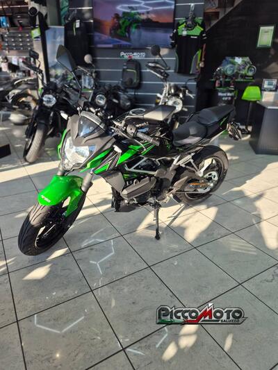 Kawasaki Z 125 (2021 - 24) usata