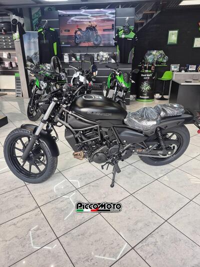Kawasaki Eliminator 500 (2024 - 26) nuova