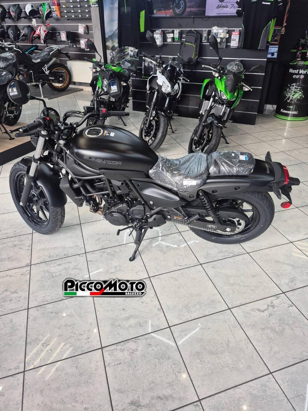 Kawasaki Eliminator 500 (2024 - 26) (2)