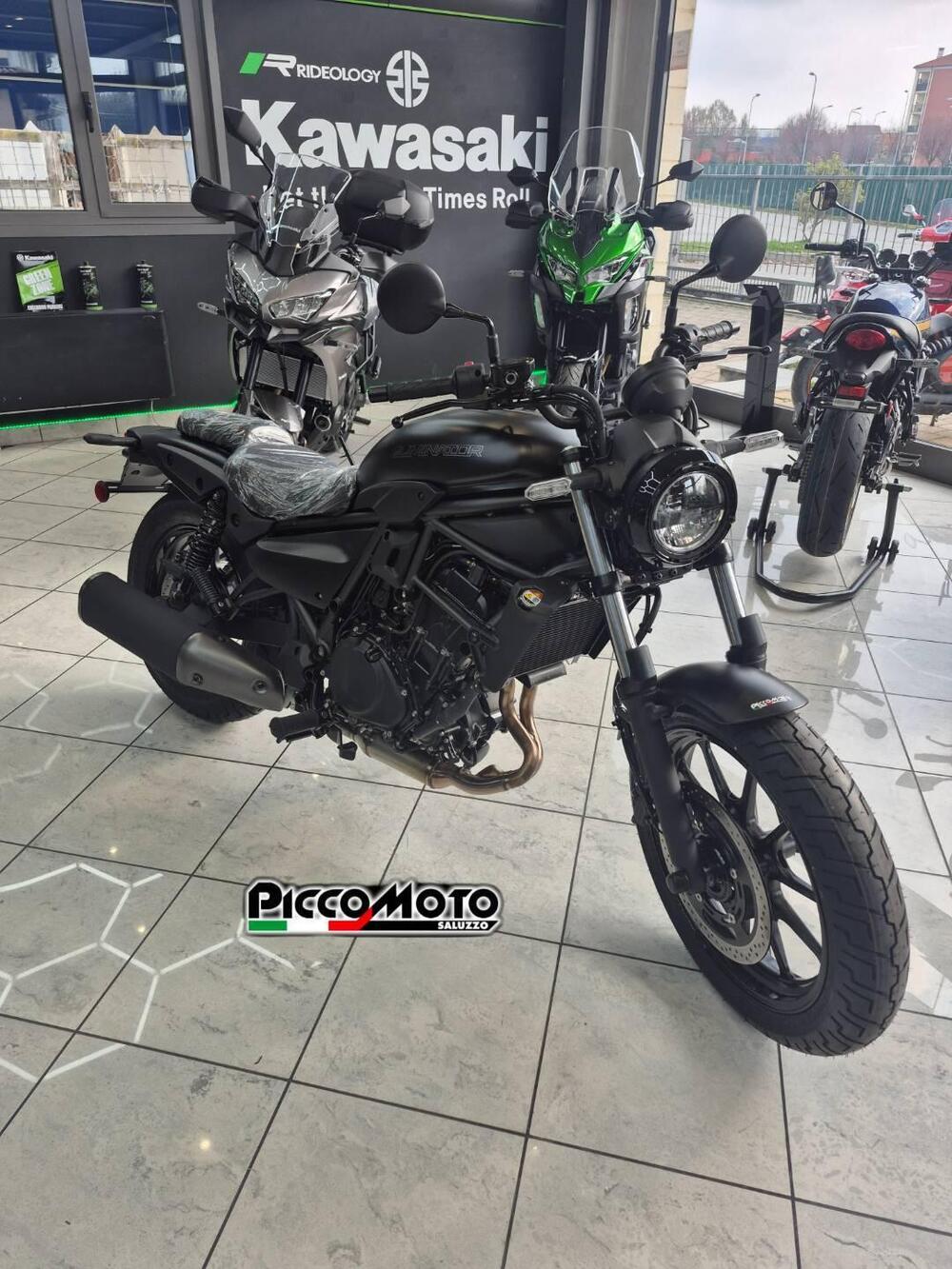 Kawasaki Eliminator 500 (2024 - 26) (4)