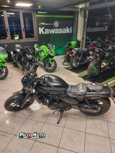 Kawasaki Eliminator 500 SE (2024 - 26) nuova