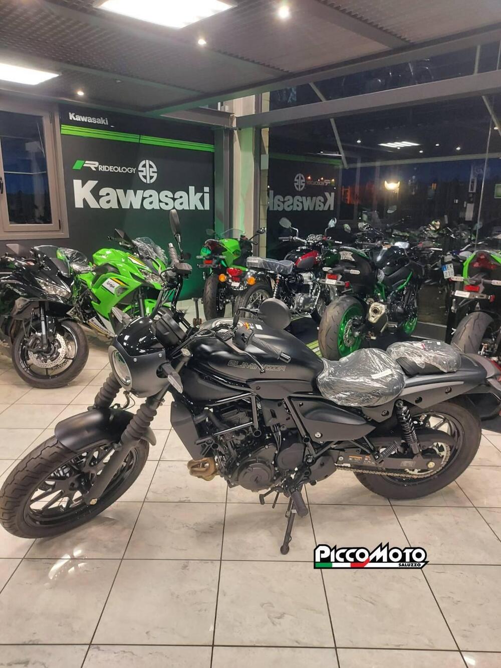 Kawasaki Eliminator 500 SE (2024 - 26) (2)