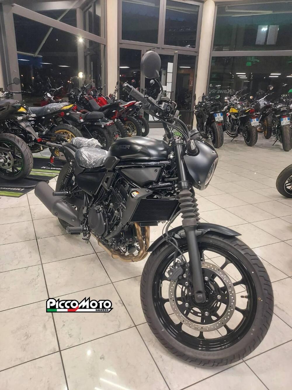 Kawasaki Eliminator 500 SE (2024 - 26) (3)