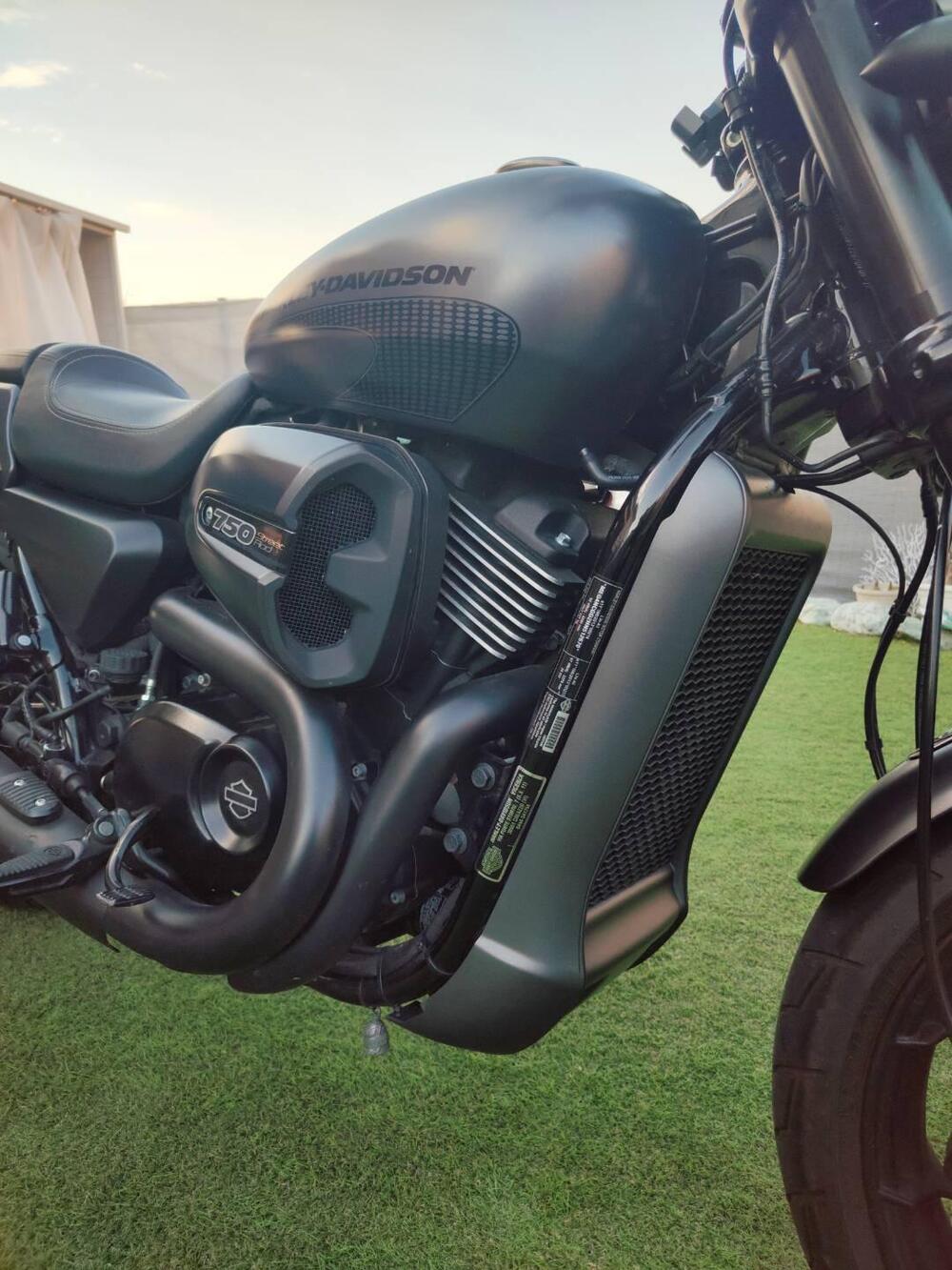 Harley-Davidson 750 Street Rod (2017 - 20) - XG 750 (11)