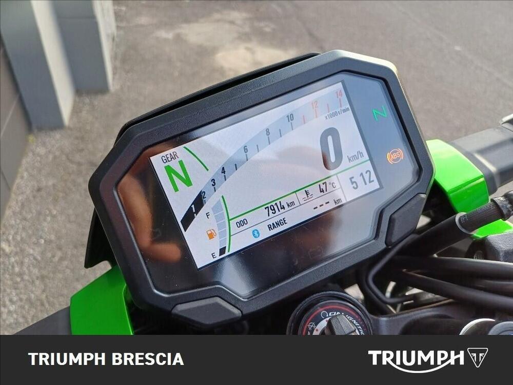 Kawasaki Z 500 SE (2024 - 26) (8)