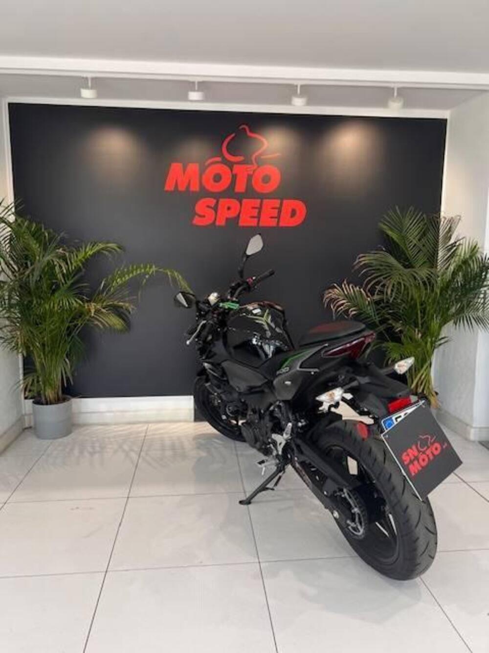 Kawasaki Z 500 (2024 - 26) (3)