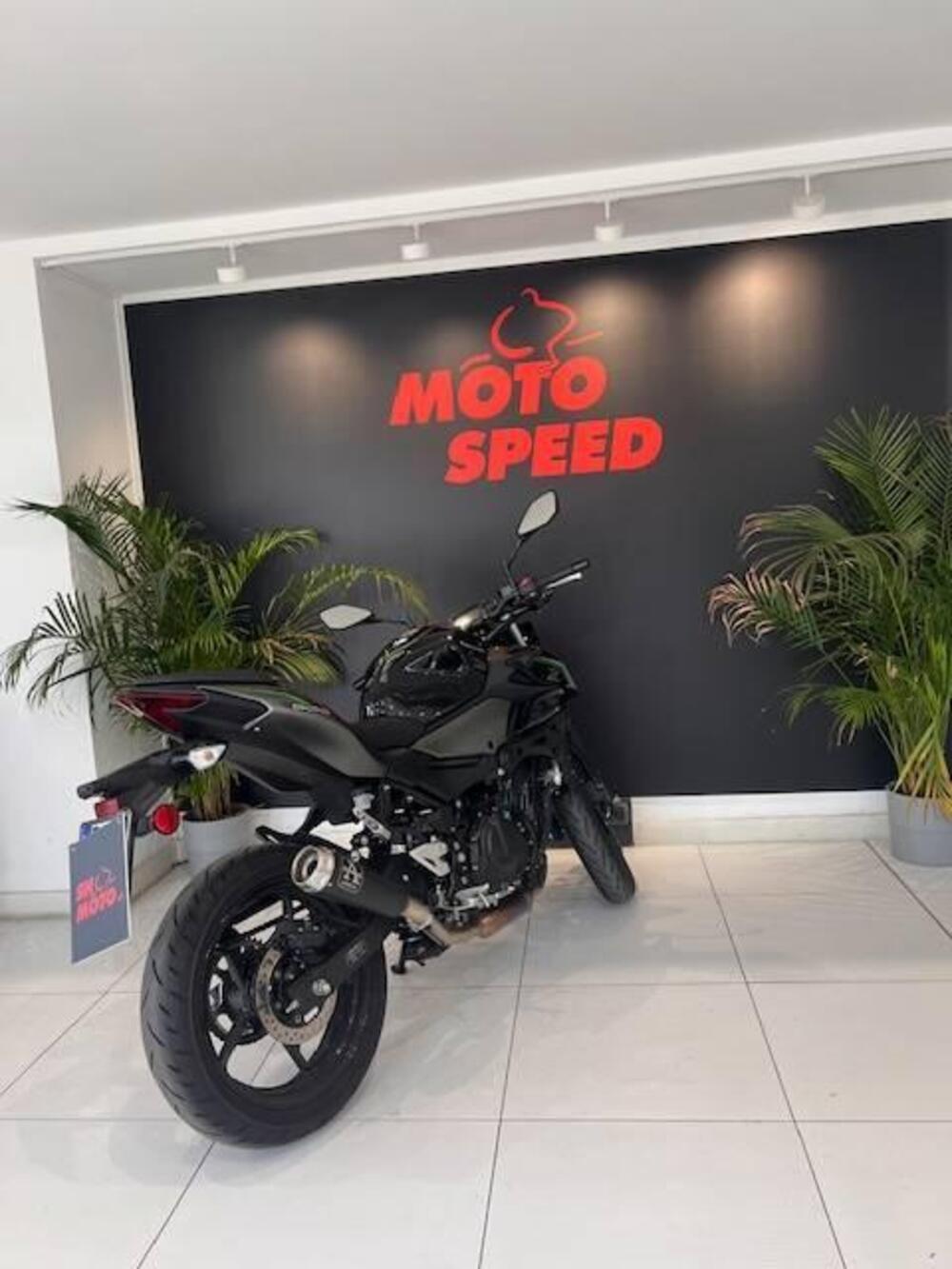 Kawasaki Z 500 (2024 - 26) (4)