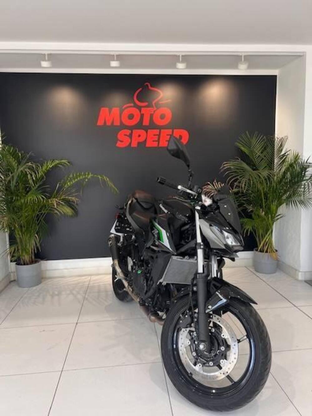 Kawasaki Z 500 (2024 - 26) (5)