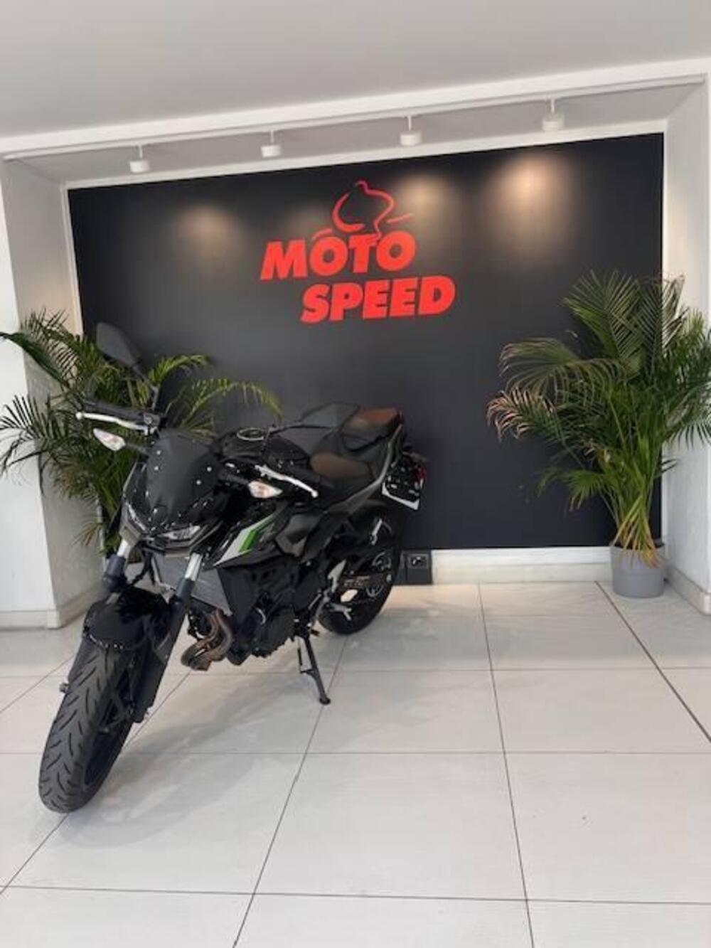 Kawasaki Z 500 (2024 - 26) (6)