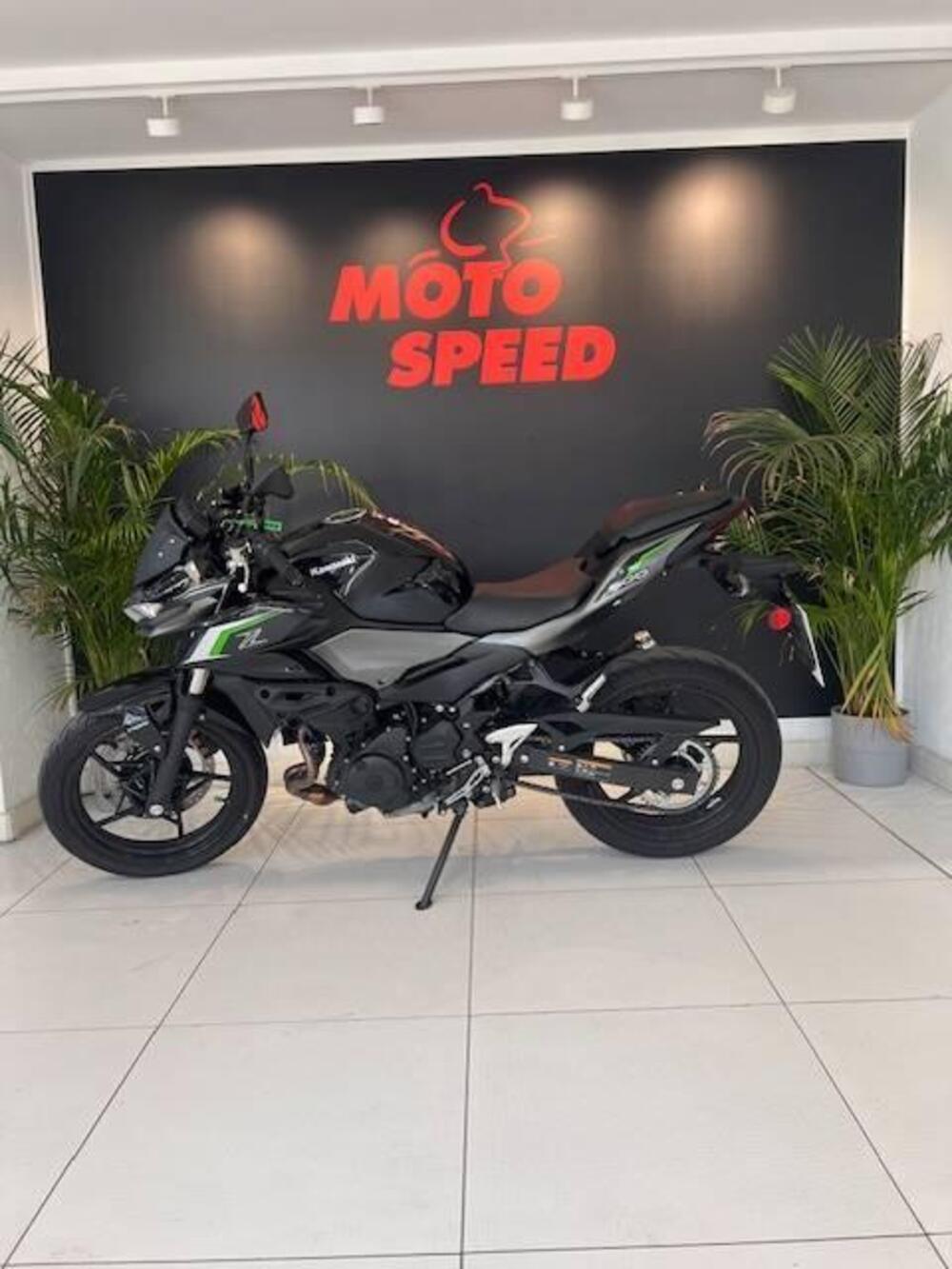 Kawasaki Z 500 (2024 - 26) (2)