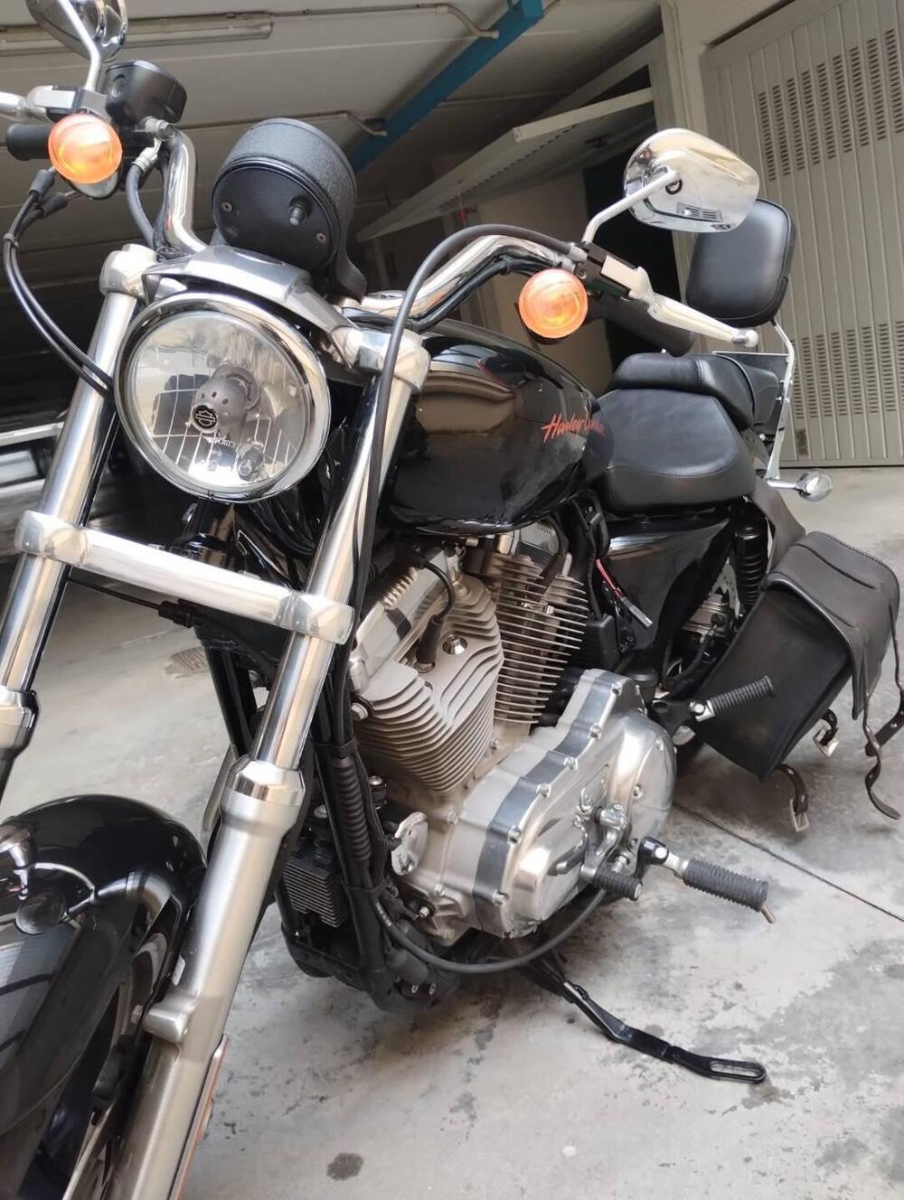 Harley-Davidson 883 Low (2008 - 12) - XL 883L (3)