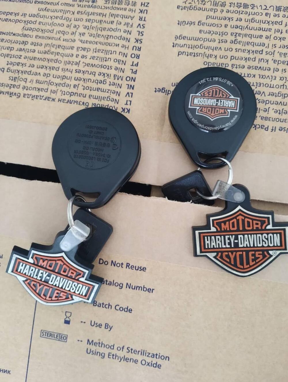 Harley-Davidson 883 Low (2008 - 12) - XL 883L (4)