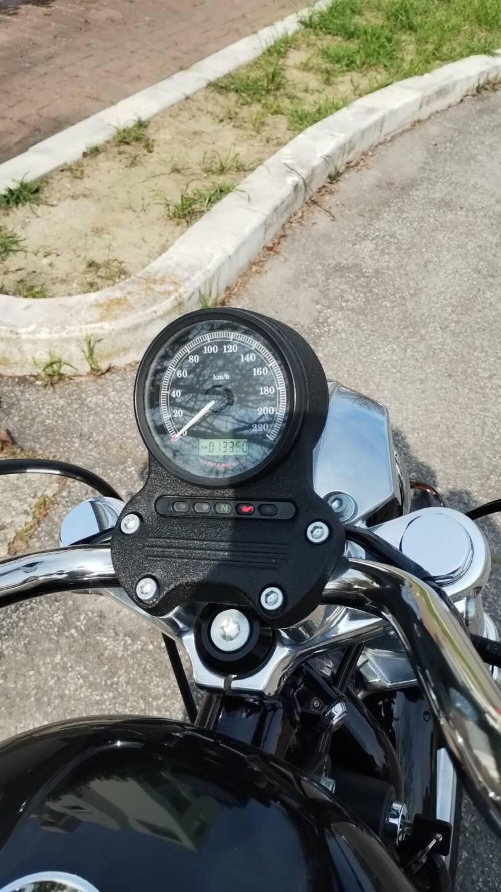 Harley-Davidson 883 Low (2008 - 12) - XL 883L (5)