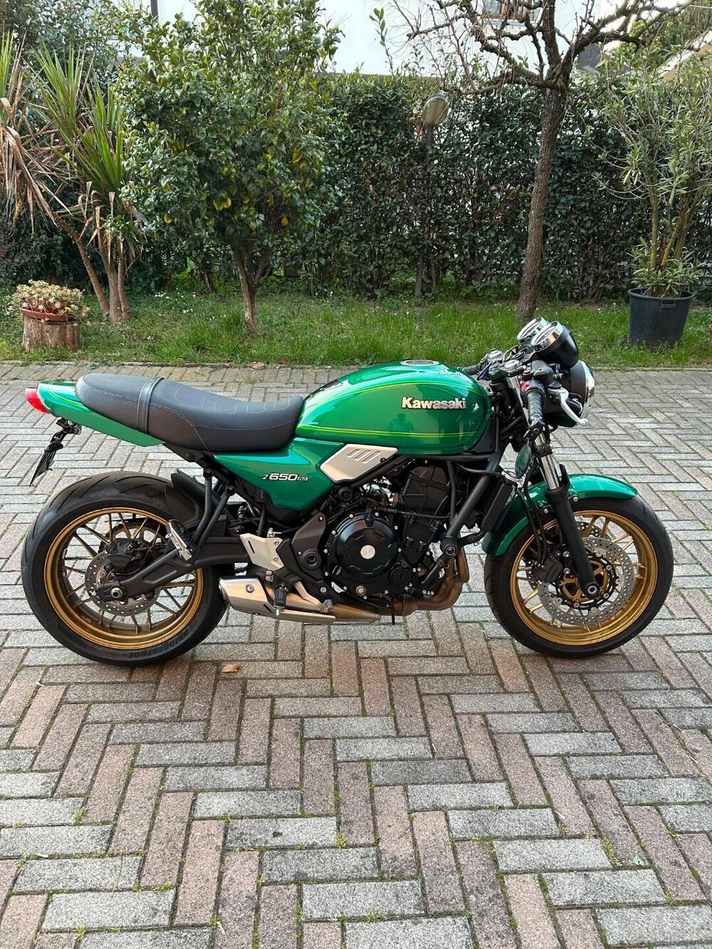 Kawasaki Z 650 RS (2022 - 24) (4)