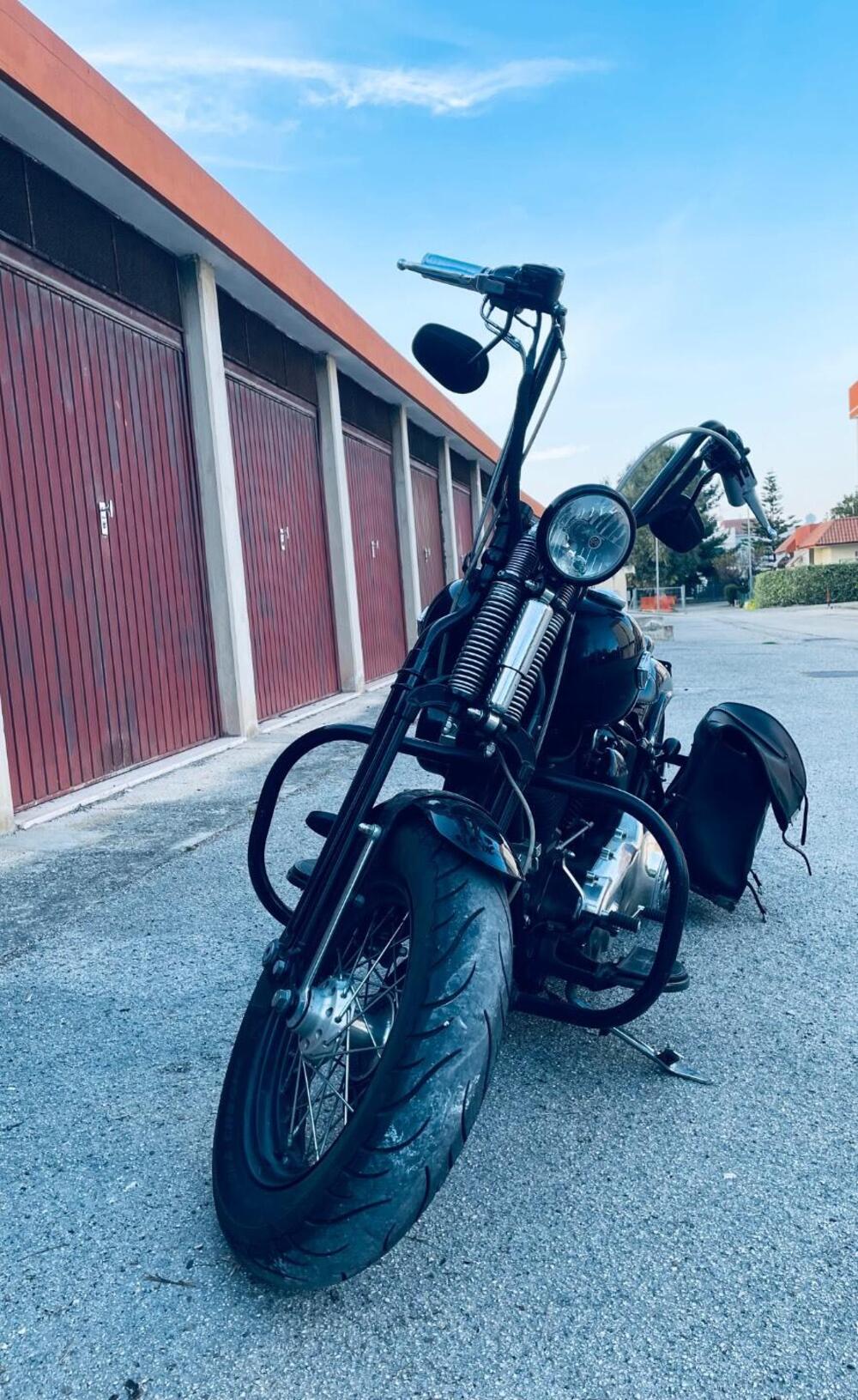 Harley-Davidson 1584 Cross Bones (2008 - 11) - FLSTSB (3)