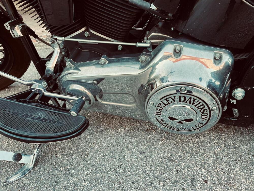 Harley-Davidson 1584 Cross Bones (2008 - 11) - FLSTSB (5)