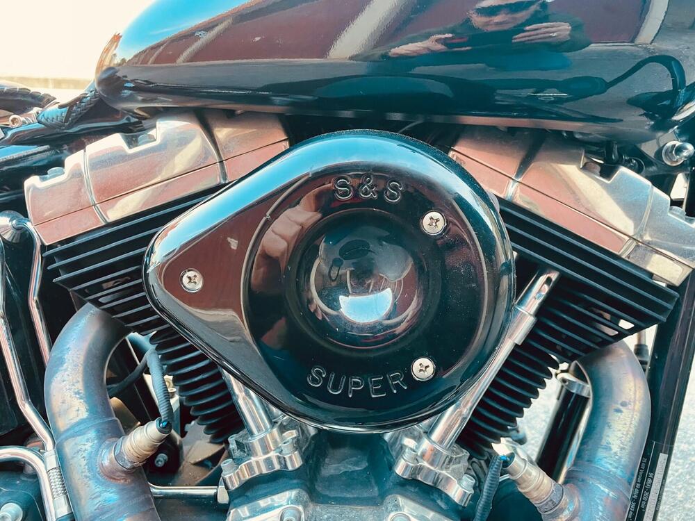 Harley-Davidson 1584 Cross Bones (2008 - 11) - FLSTSB (7)