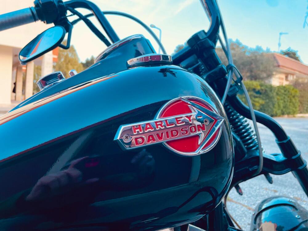 Harley-Davidson 1584 Cross Bones (2008 - 11) - FLSTSB (8)