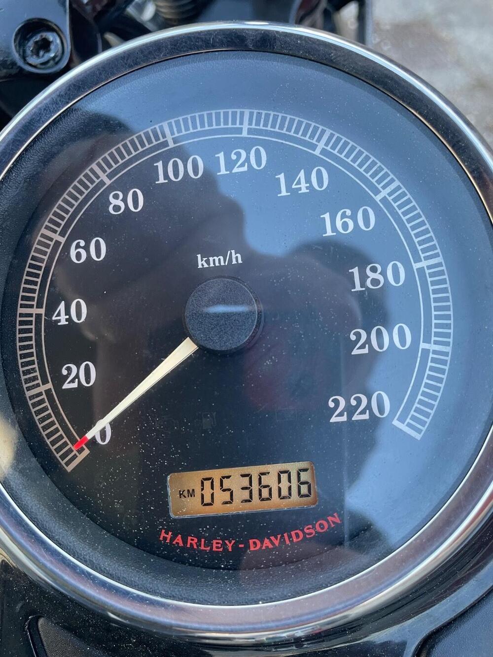 Harley-Davidson 1584 Cross Bones (2008 - 11) - FLSTSB (12)