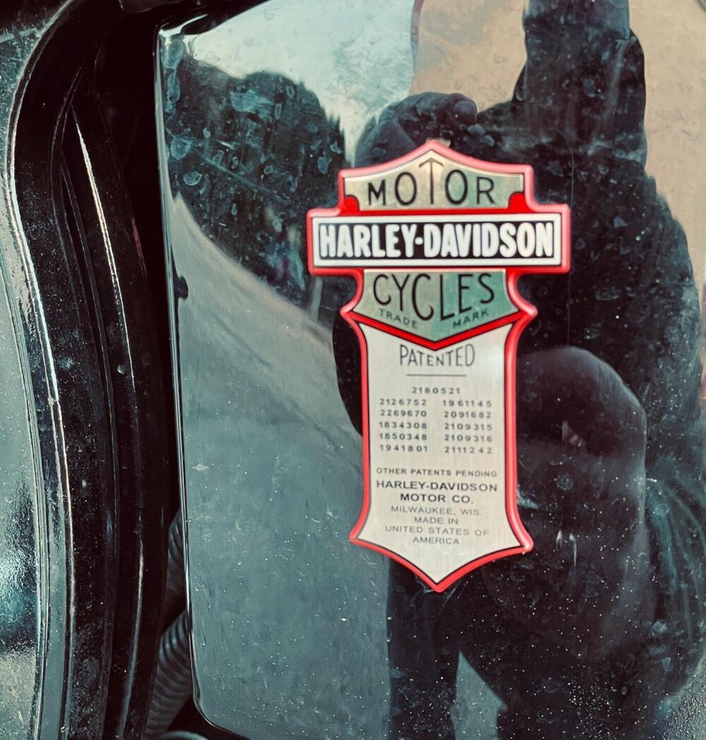 Harley-Davidson 1584 Cross Bones (2008 - 11) - FLSTSB (13)