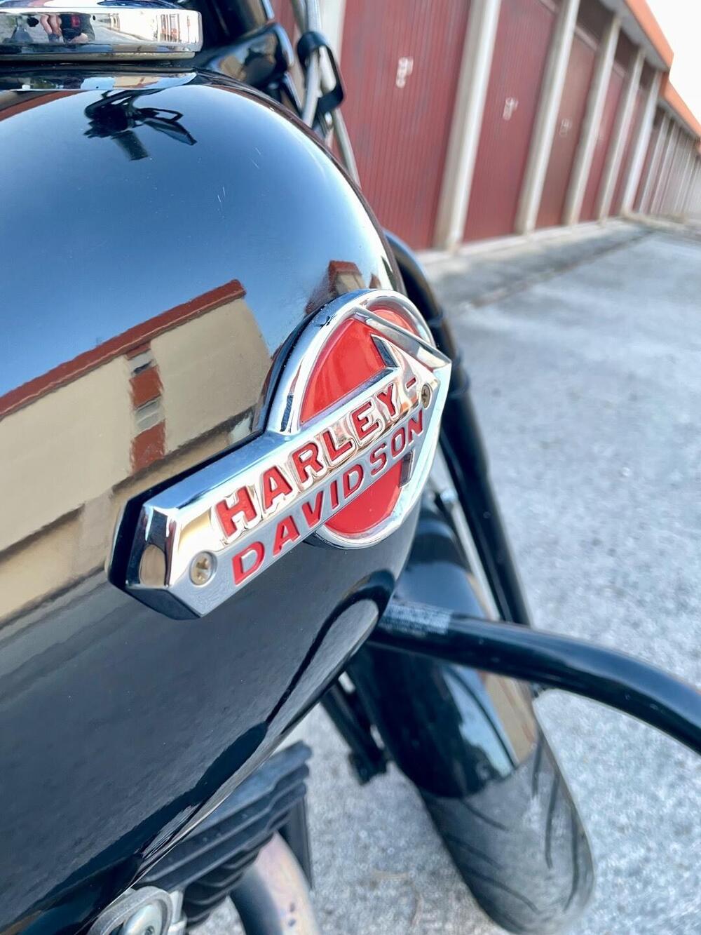 Harley-Davidson 1584 Cross Bones (2008 - 11) - FLSTSB (9)