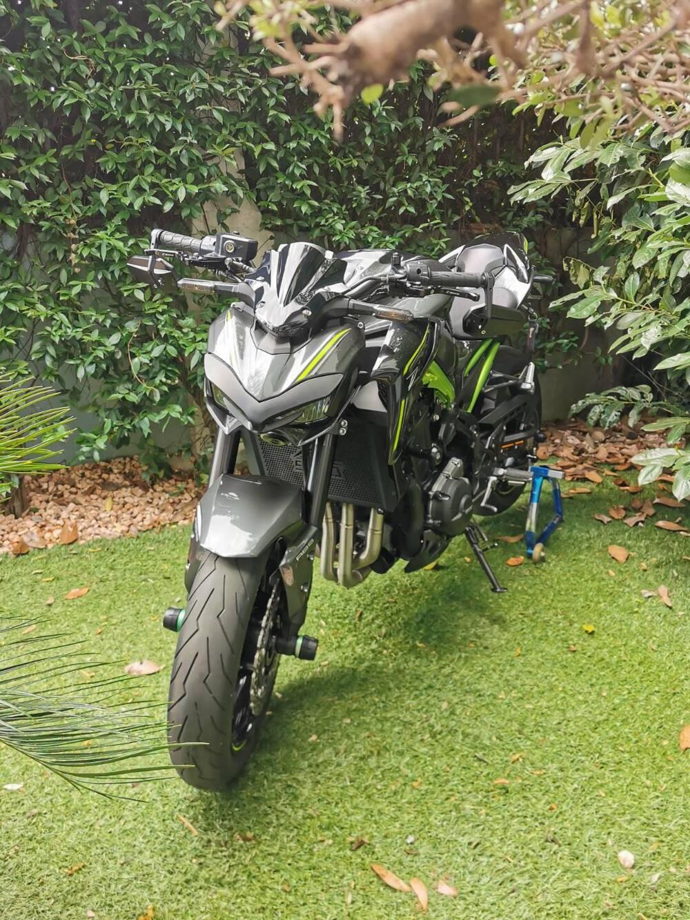 Kawasaki Z 900 (2017 - 18) (2)