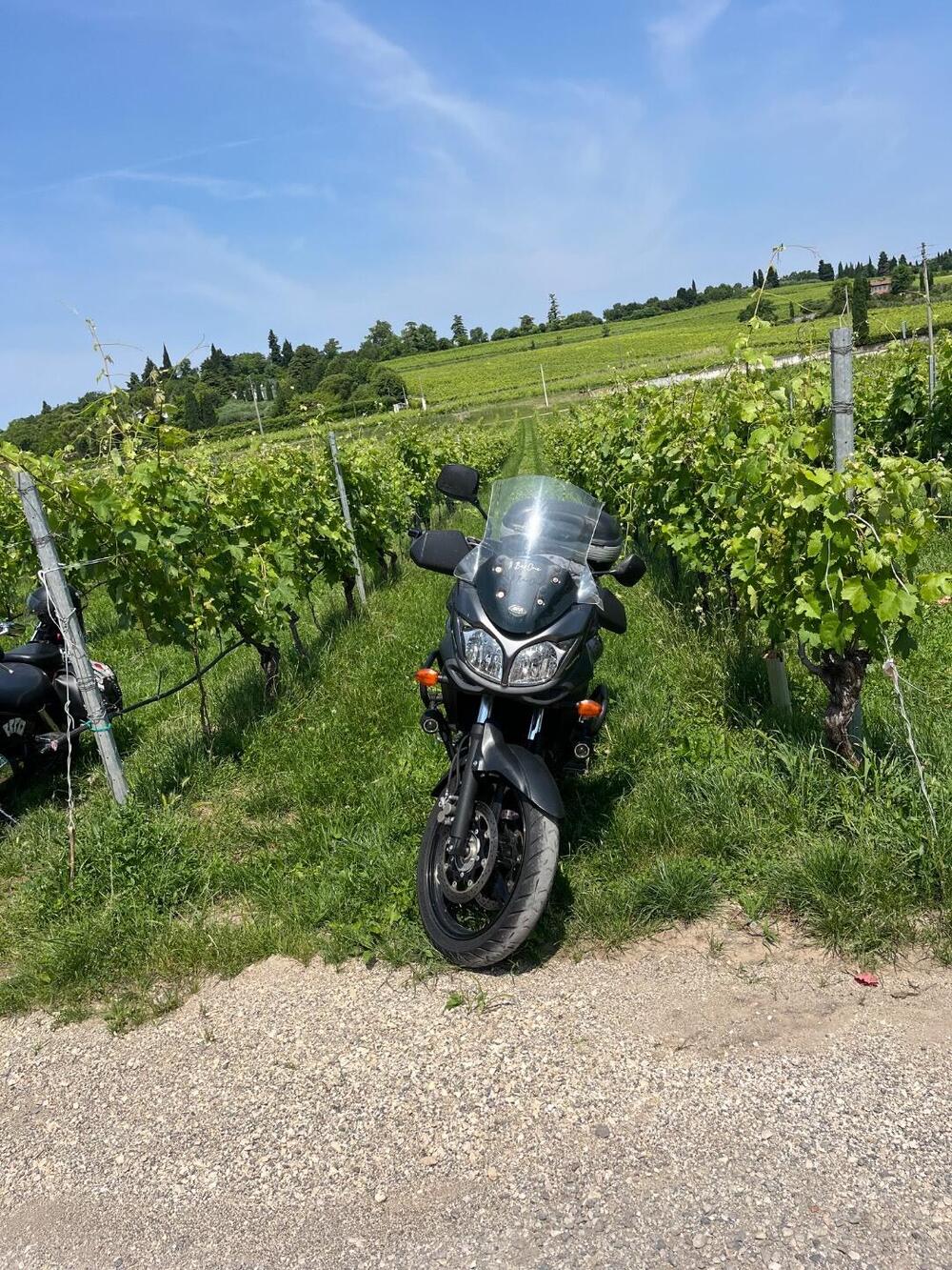 Suzuki V-Strom 650 ABS (2011 - 17) (6)