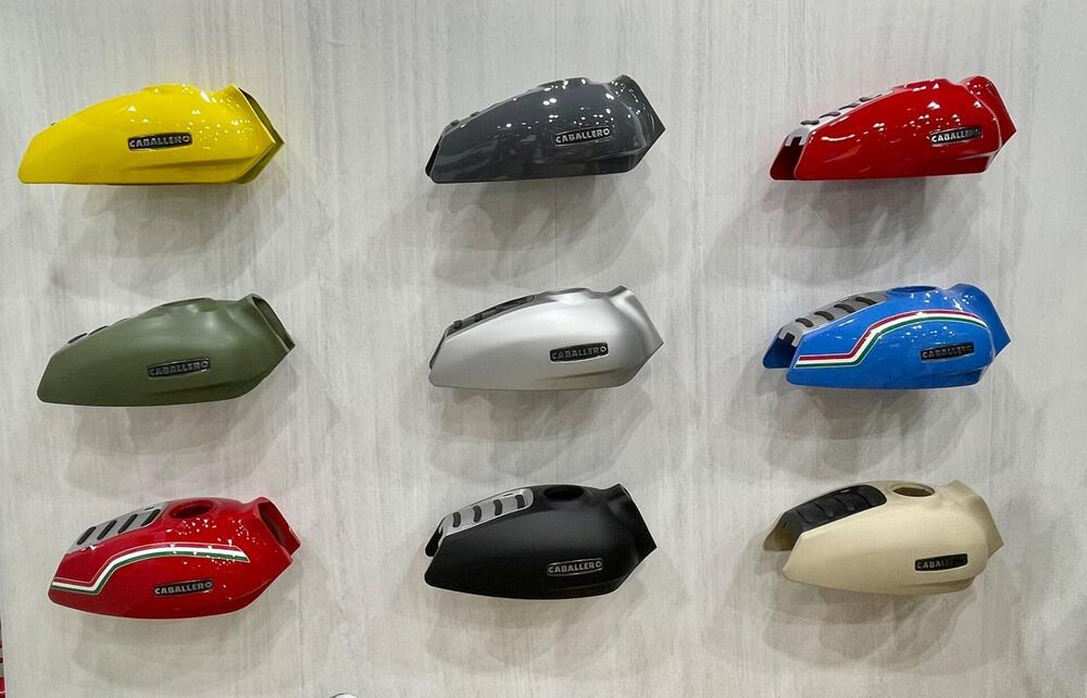 Fantic Motor Caballero 500 Rally (2021 - 23) (14)