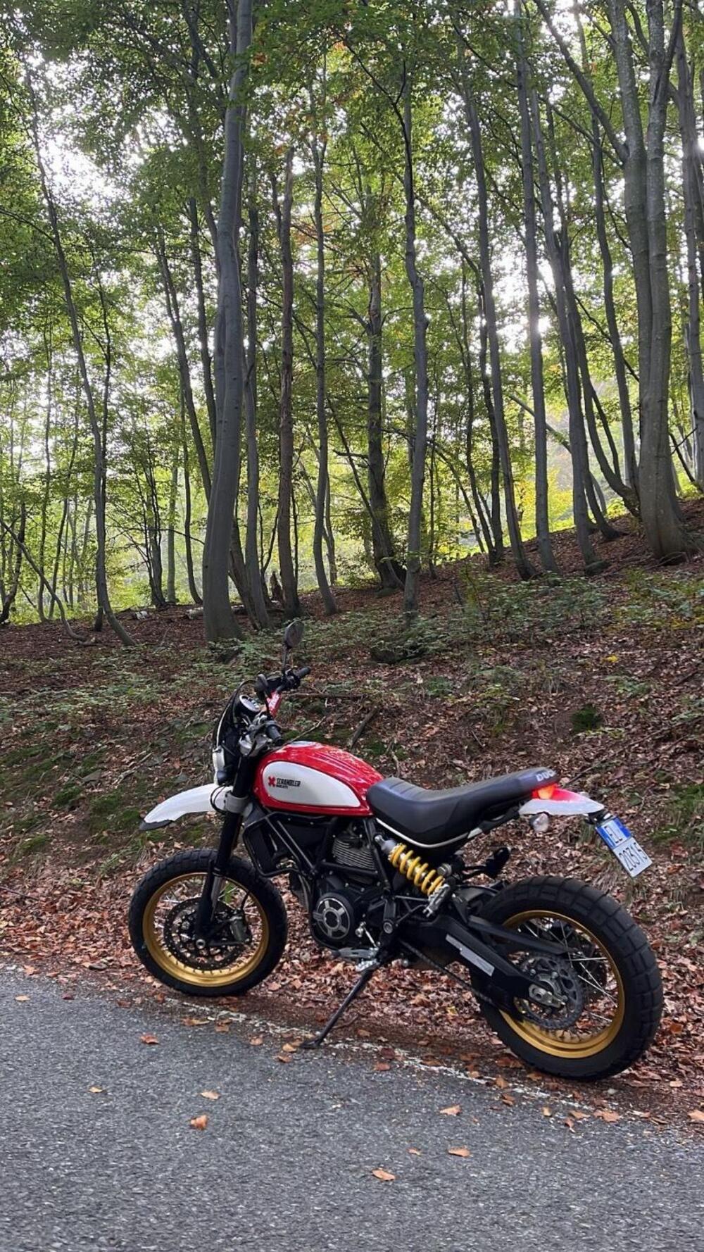 Ducati Scrambler 800 Desert Sled (2017 - 20) (2)