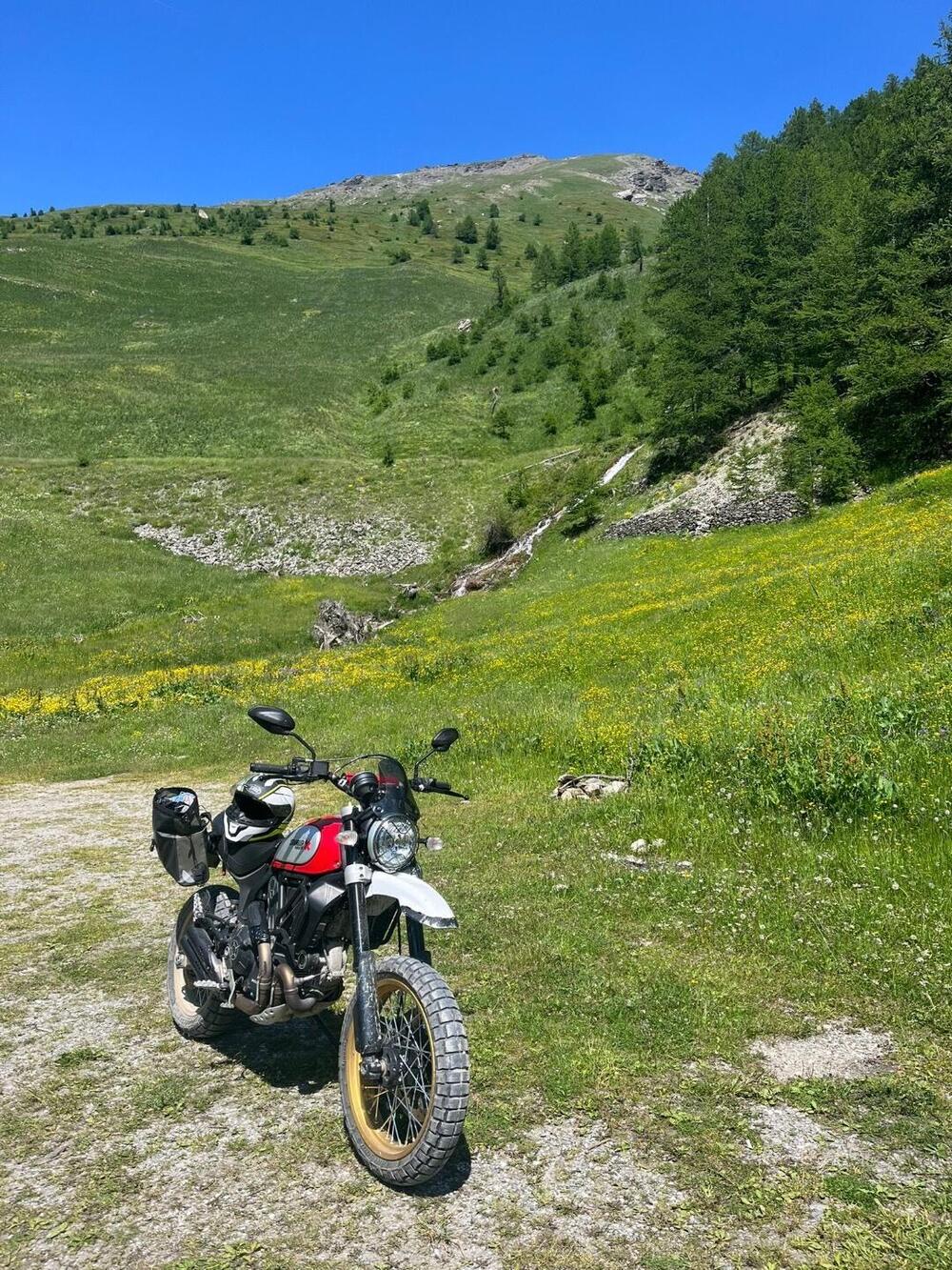 Ducati Scrambler 800 Desert Sled (2017 - 20) (4)