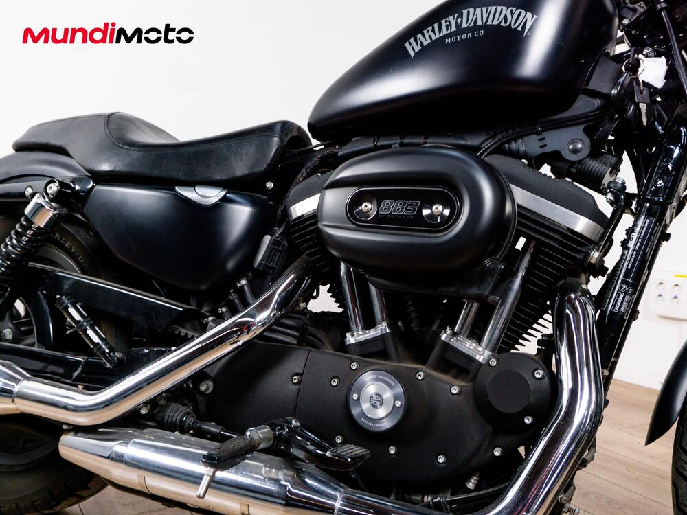 Harley-Davidson 883 Iron (2012 - 14) - XL 883N (5)