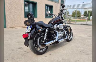 Harley-Davidson 883 Custom (2008 - 12) - XL 883C usata