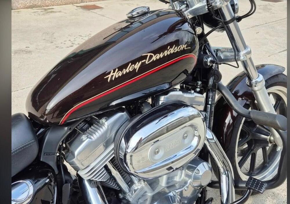 Harley-Davidson 883 Custom (2008 - 12) - XL 883C (4)