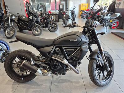 Ducati Scrambler 800 Icon Dark (2025 - 26) usata