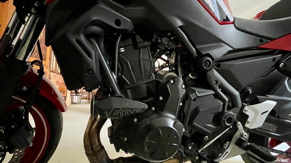 Kawasaki Z 650 50th Anniversary (2022 - 23) (5)