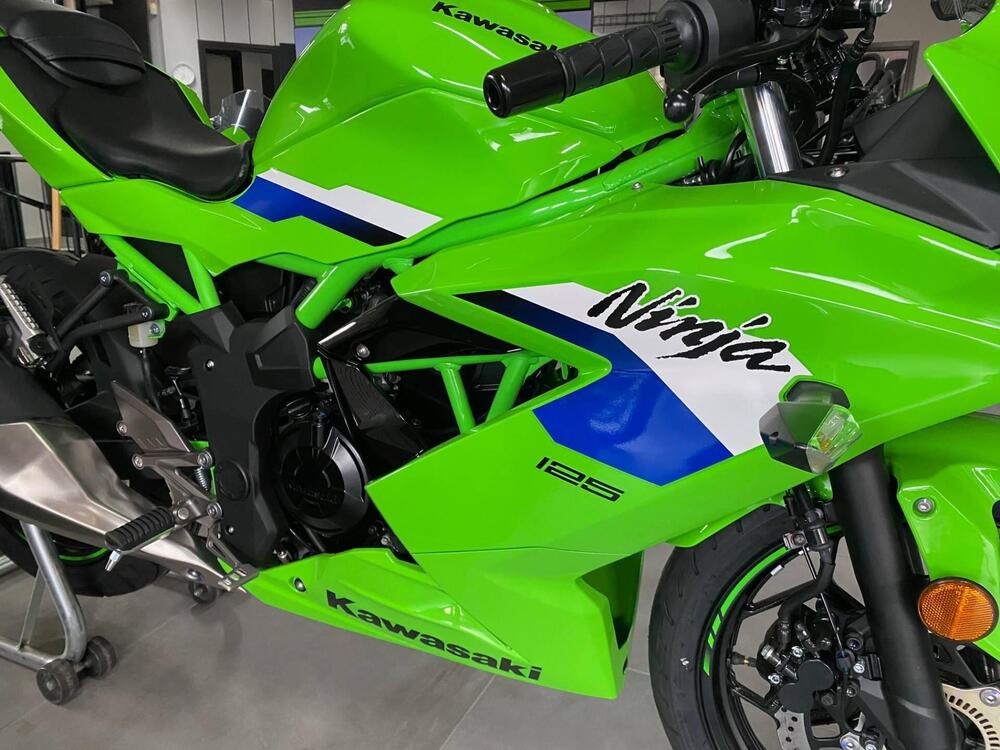 Kawasaki Ninja 125 (2025 - 26) (2)