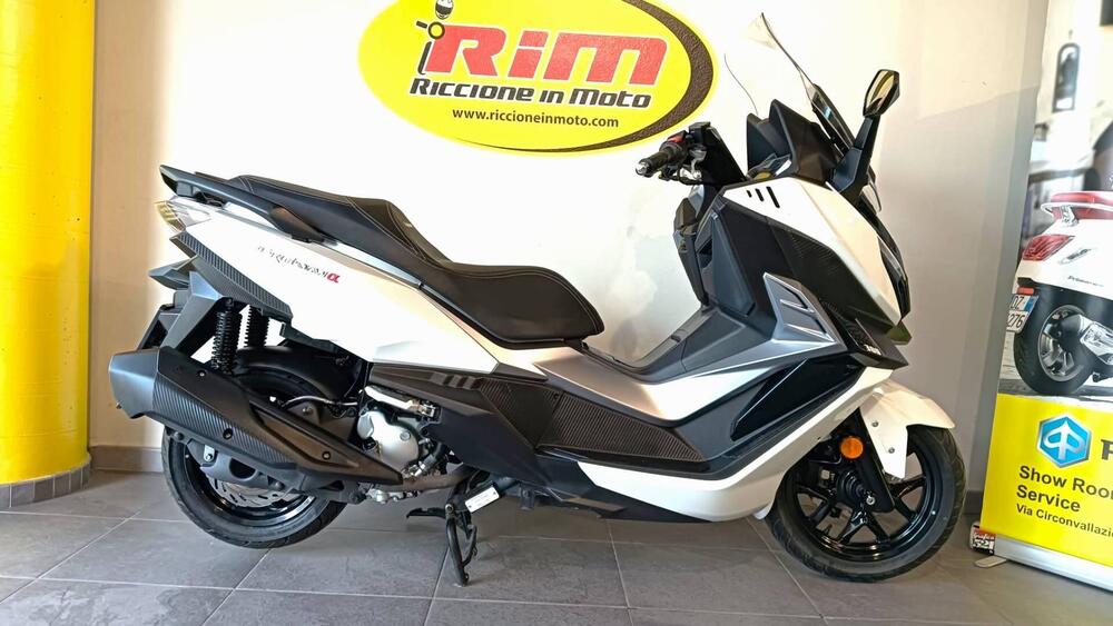 Sym Cruisym 300 (2021 - 24) (2)