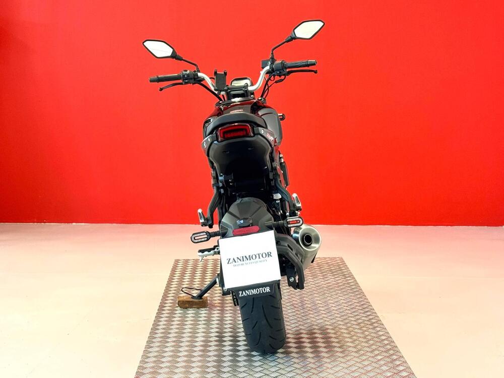 Voge Trofeo 300AC (2021 - 26) (7)