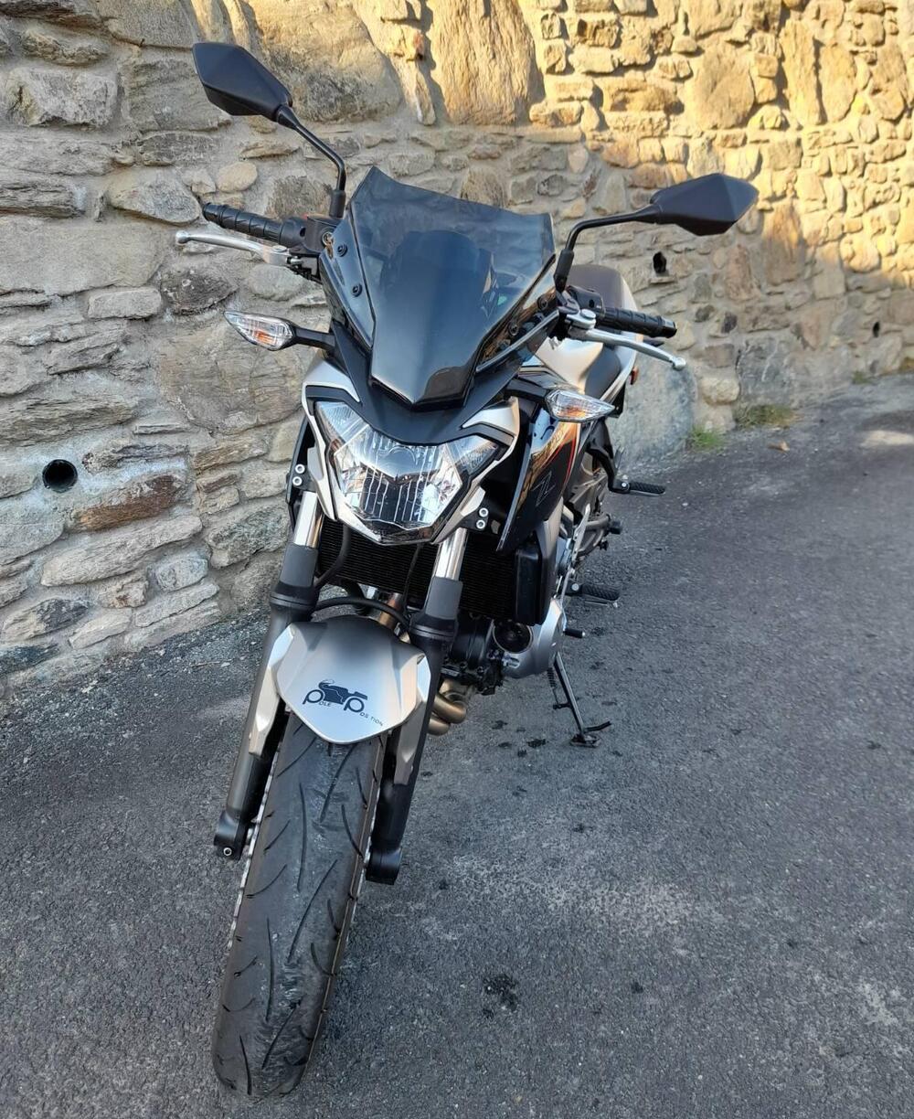 Kawasaki Z 650 (2017 - 19) (4)
