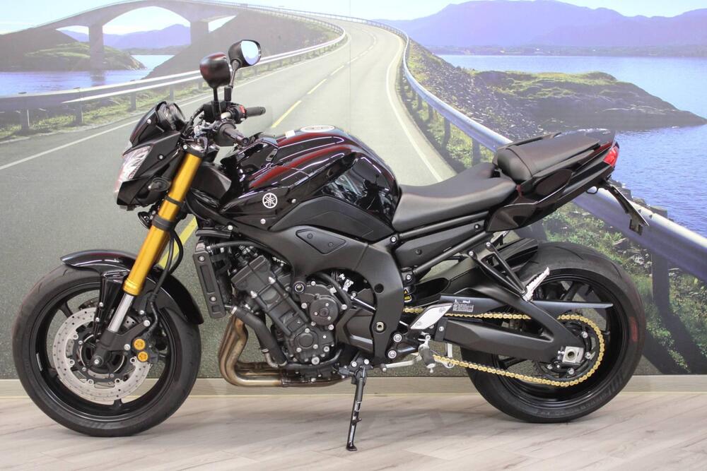 Yamaha FZ8 (2010 - 12) (7)