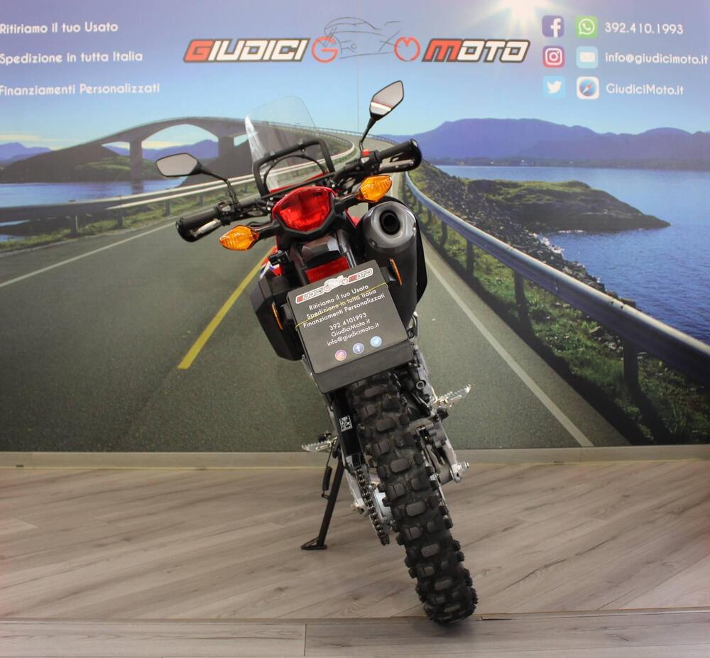 Honda CRF 300L (2021 - 24) (4)