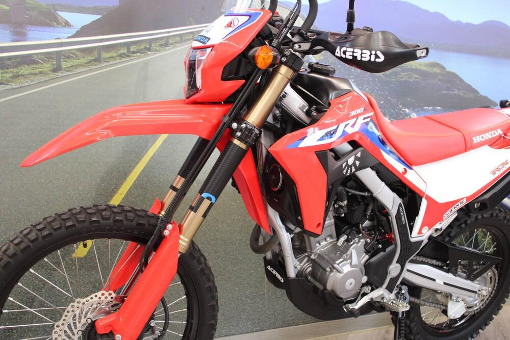 Honda CRF 300L (2021 - 24) (8)