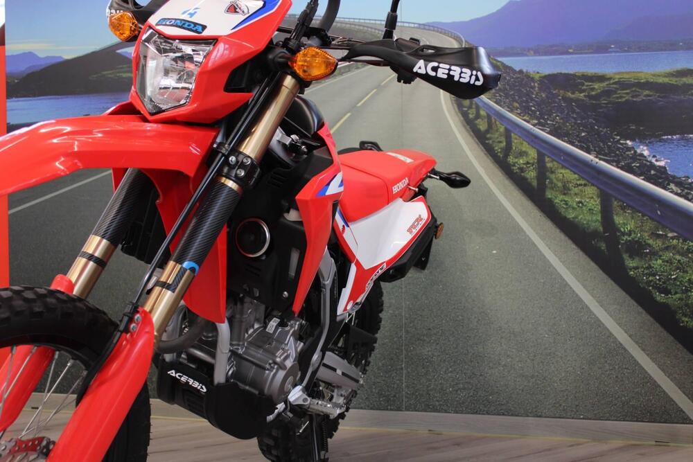 Honda CRF 300L (2021 - 24) (11)