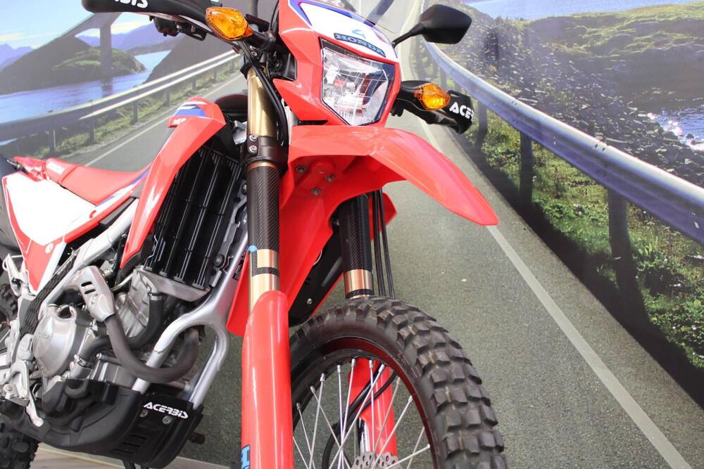 Honda CRF 300L (2021 - 24) (12)