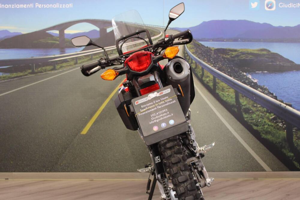 Honda CRF 300L (2021 - 24) (16)