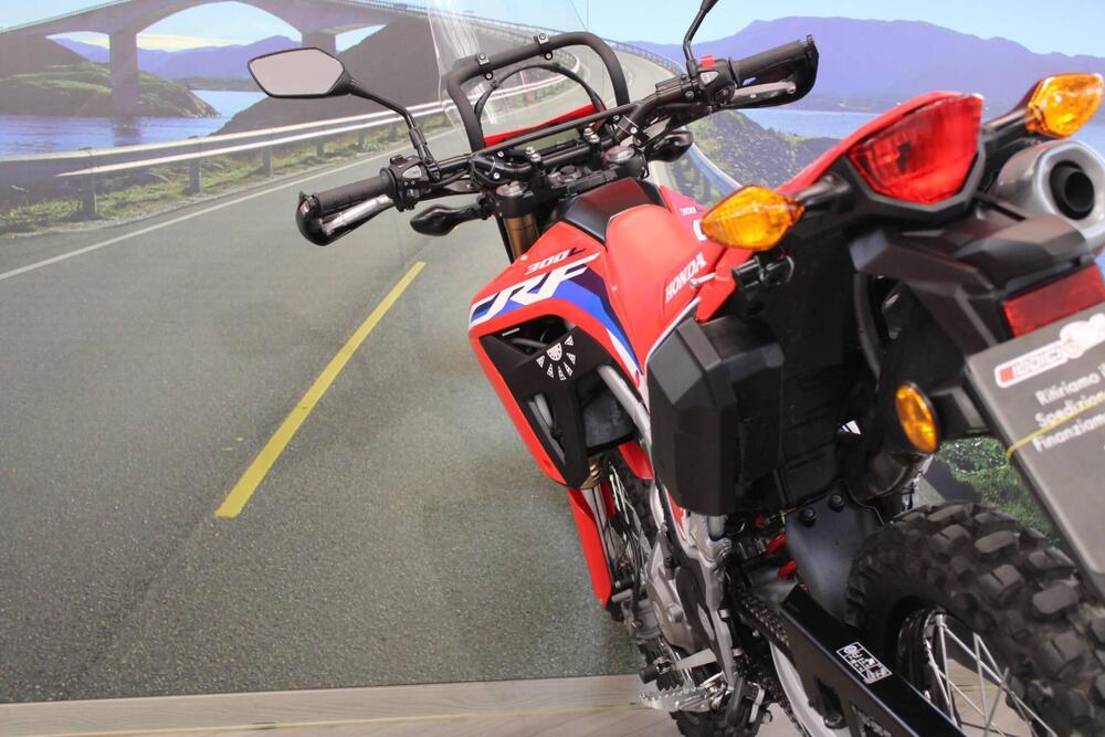 Honda CRF 300L (2021 - 24) (17)