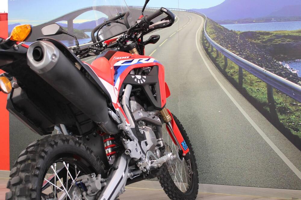 Honda CRF 300L (2021 - 24) (18)