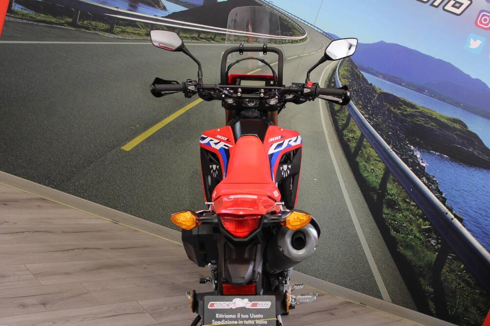 Honda CRF 300L (2021 - 24) (19)