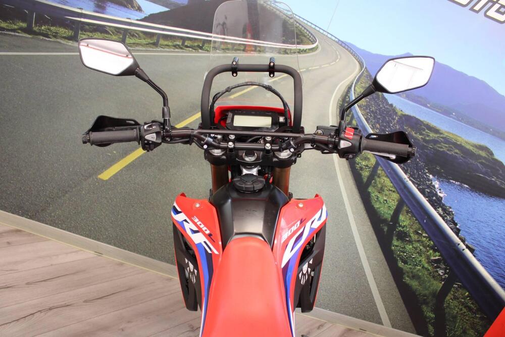 Honda CRF 300L (2021 - 24) (20)